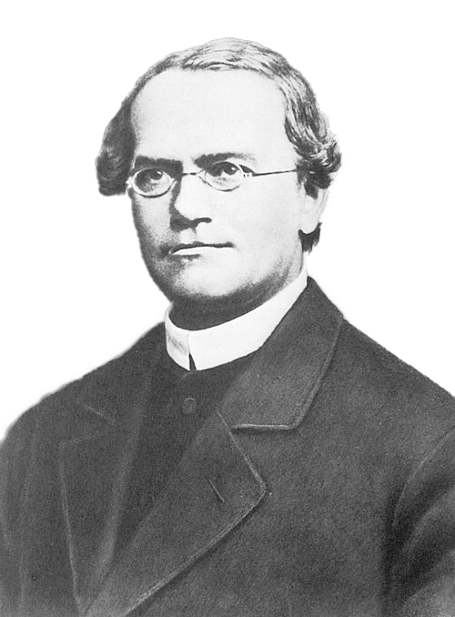 Gregor Mendel